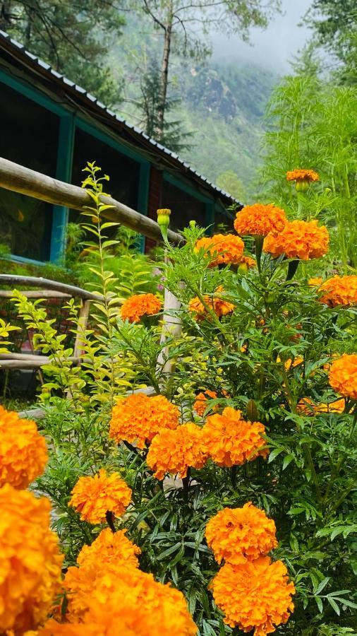 Himtrek Riverside Camps, Kasol Kültér fotó