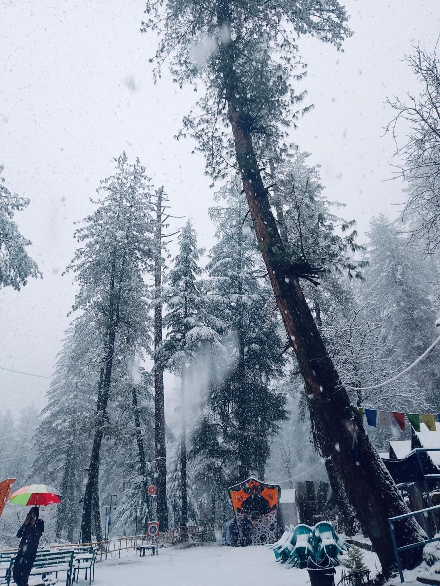 Himtrek Riverside Camps, Kasol Kültér fotó